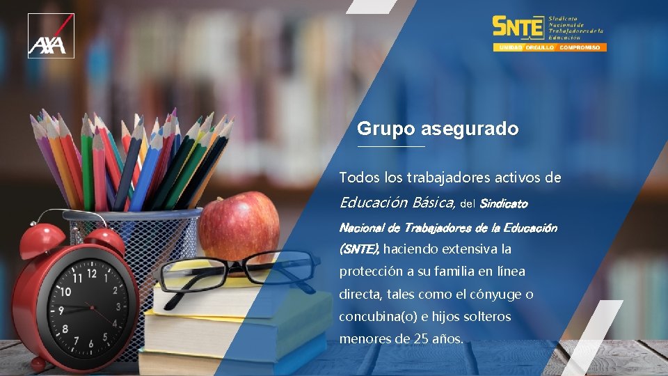 Grupo asegurado Todos los trabajadores activos de Educación Básica, del Sindicato Nacional de Trabajadores