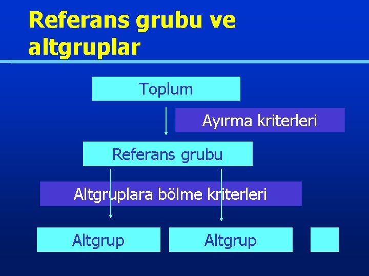 Referans grubu ve altgruplar Toplum Ayırma kriterleri Referans grubu Altgruplara bölme kriterleri Altgrup 
