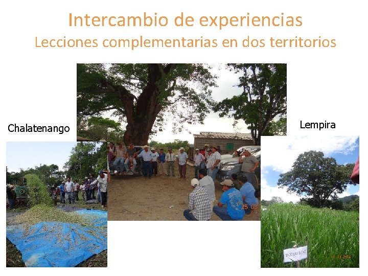 Intercambio de experiencias Lecciones complementarias en dos territorios Chalatenango Lempira 