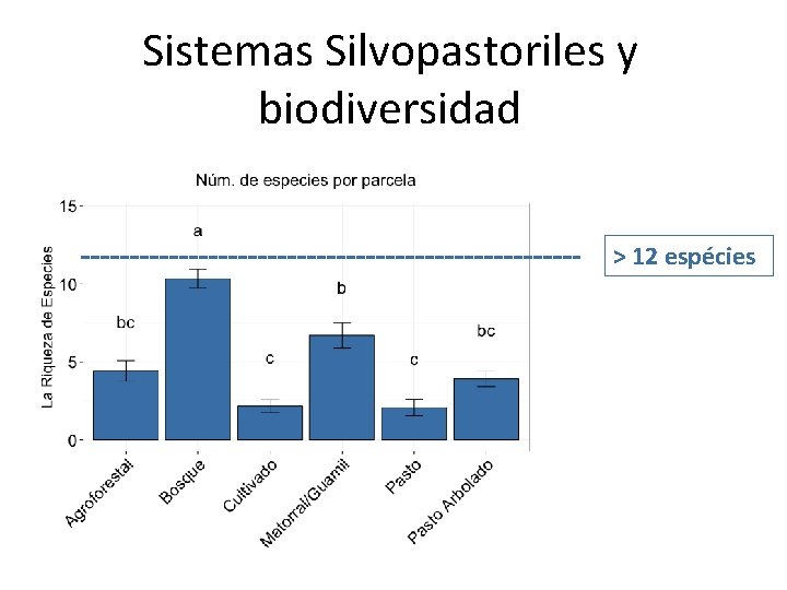 Sistemas Silvopastoriles y biodiversidad > 12 espécies 