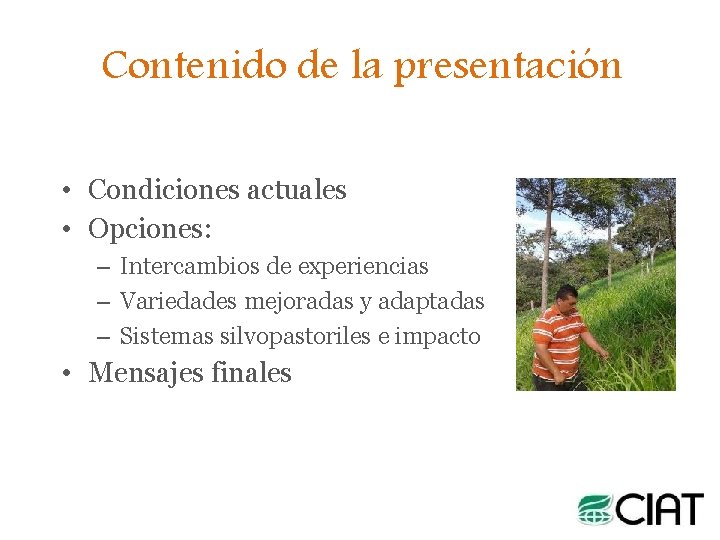 Contenido de la presentación • Condiciones actuales • Opciones: – Intercambios de experiencias –