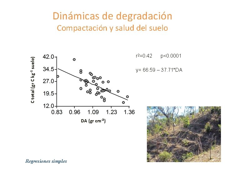 Dinámicas de degradación Compactación y salud del suelo C total (gr C kg-1 suelo)