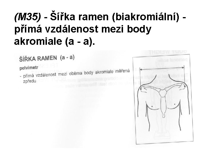 (M 35) - Šířka ramen (biakromiální) přímá vzdálenost mezi body akromiale (a - a).