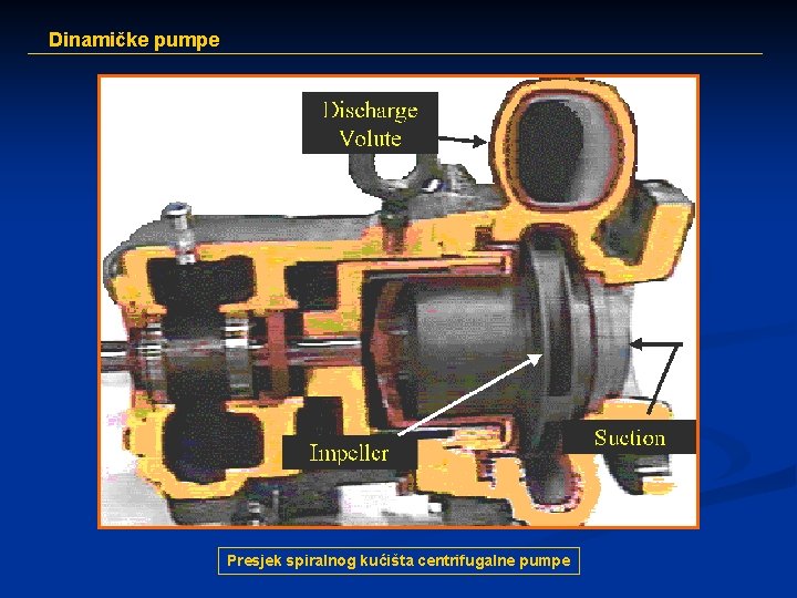 Dinamičke pumpe Presjek spiralnog kućišta centrifugalne pumpe 