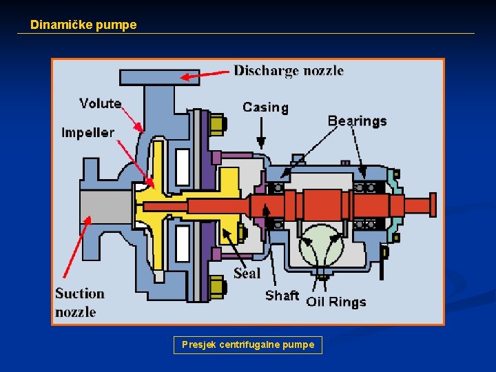 Dinamičke pumpe Presjek centrifugalne pumpe 