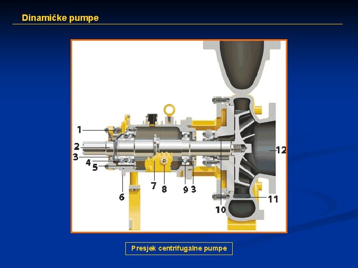 Dinamičke pumpe Presjek centrifugalne pumpe 