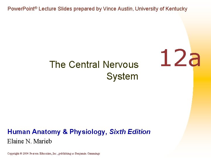 Power. Point® Lecture Slides prepared by Vince Austin, University of Kentucky The Central Nervous