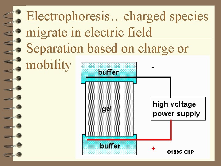 Electrophoresis…charged species migrate in electric field Separation based on charge or mobility 