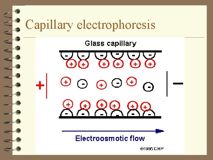 Capillary electrophoresis 