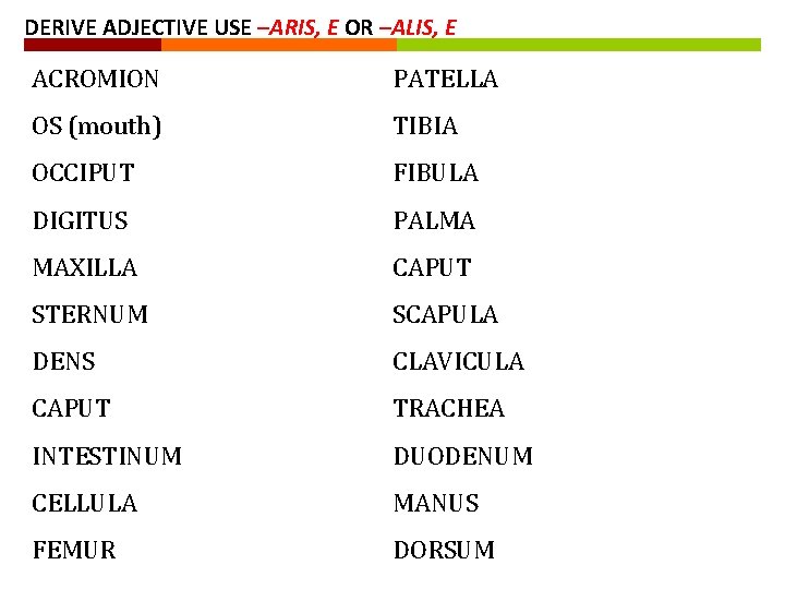 DERIVE ADJECTIVE USE –ARIS, E OR –ALIS, E ACROMION PATELLA OS (mouth) TIBIA OCCIPUT