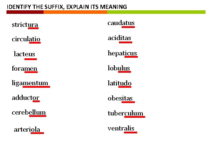 IDENTIFY THE SUFFIX, EXPLAIN ITS MEANING strictura caudatus circulatio aciditas lacteus hepaticus foramen lobulus