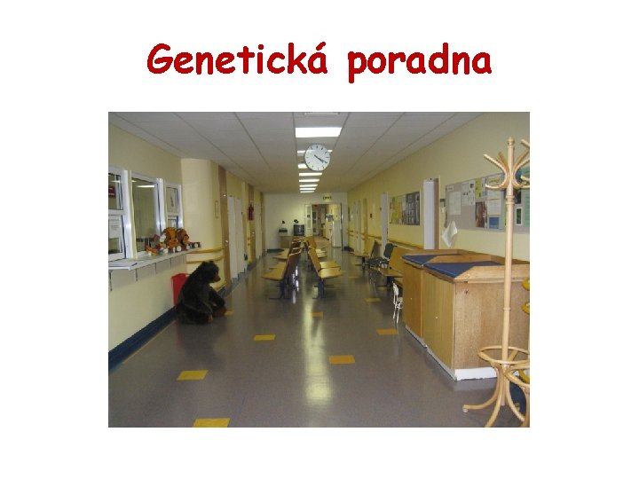 Genetická poradna 