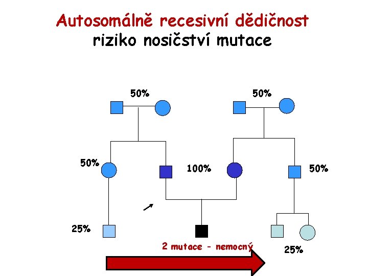 Autosomálně recesivní dědičnost riziko nosičství mutace 50% 100% 50% 25% 2 mutace - nemocný