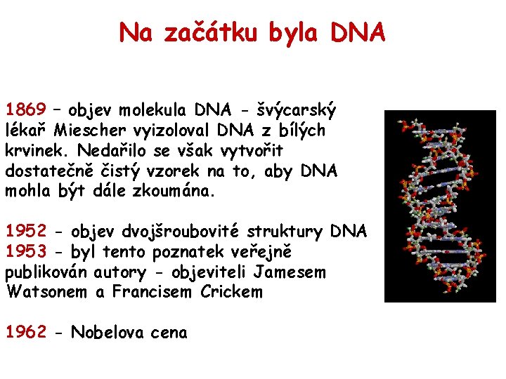 Na začátku byla DNA 1869 – objev molekula DNA - švýcarský lékař Miescher vyizoloval