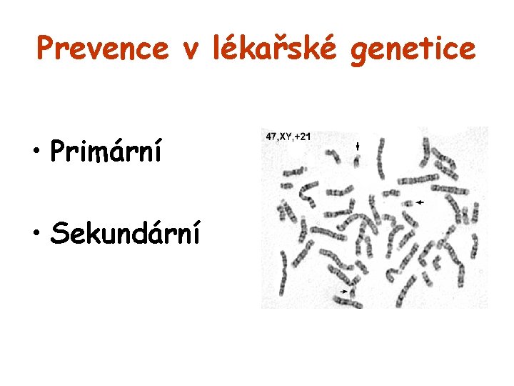 Prevence v lékařské genetice • Primární • Sekundární 
