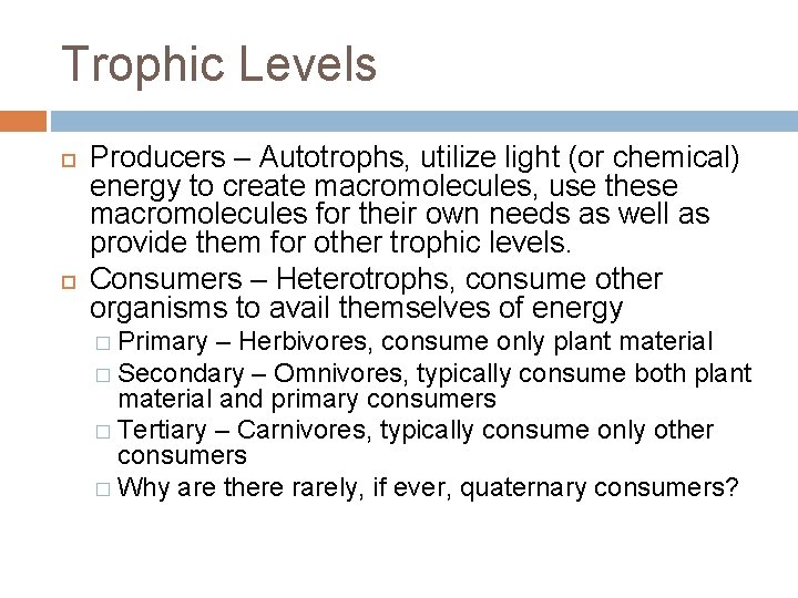 Trophic Levels Producers – Autotrophs, utilize light (or chemical) energy to create macromolecules, use