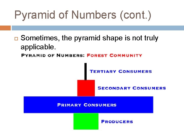 Pyramid of Numbers (cont. ) Sometimes, the pyramid shape is not truly applicable. 