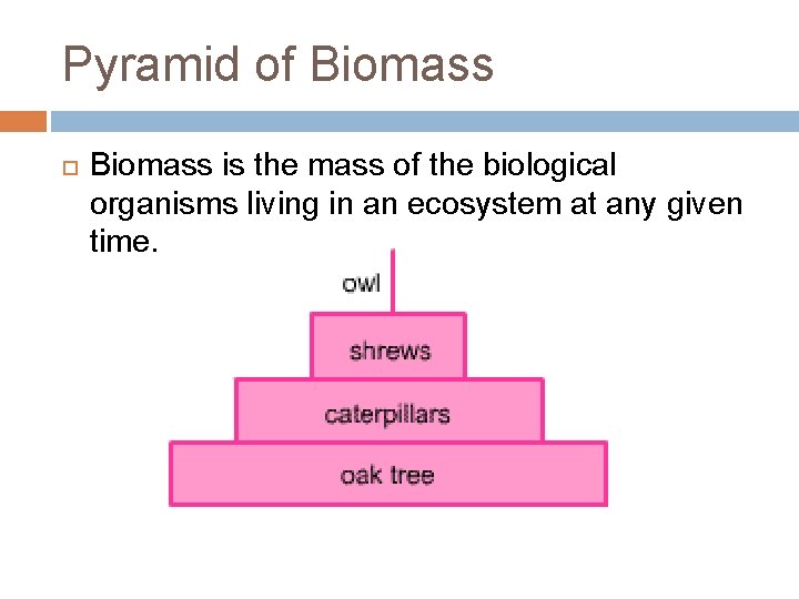 Pyramid of Biomass is the mass of the biological organisms living in an ecosystem