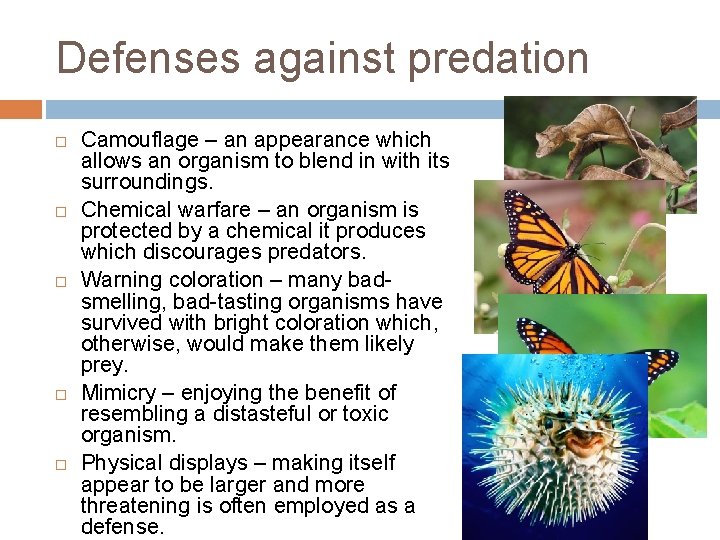 Defenses against predation Camouflage – an appearance which allows an organism to blend in