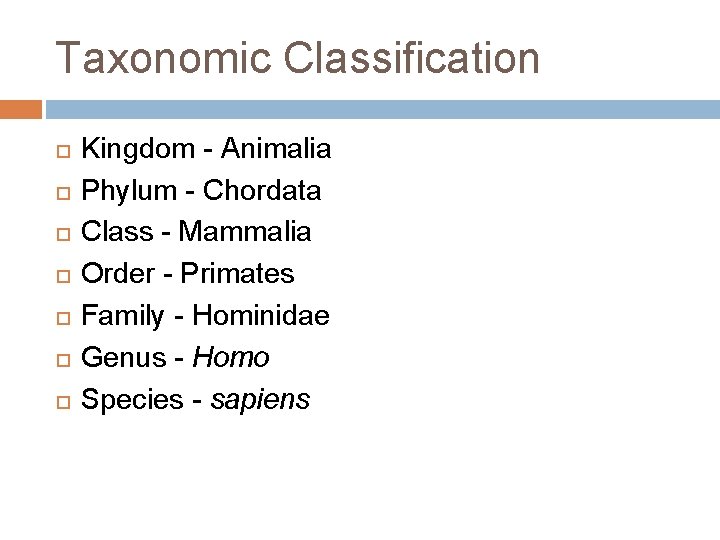 Taxonomic Classification Kingdom - Animalia Phylum - Chordata Class - Mammalia Order - Primates