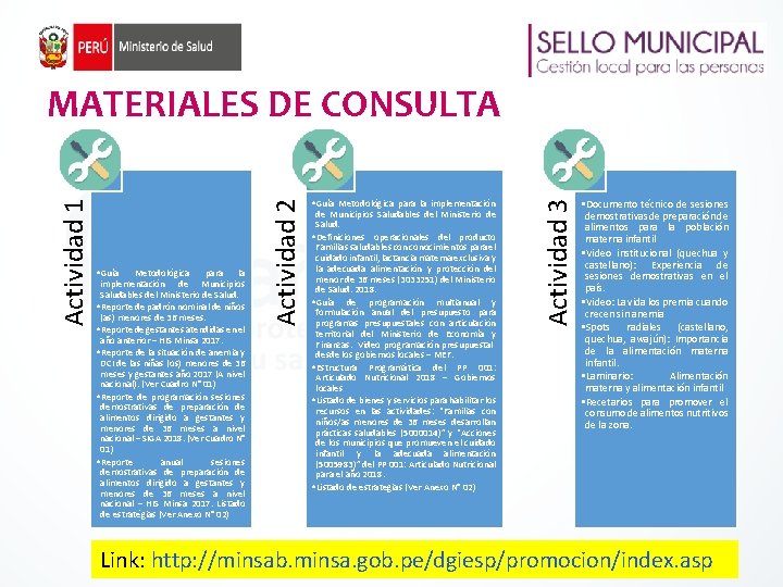 Metodológica para la implementación de Municipios Saludables del Ministerio de Salud. • Reporte de