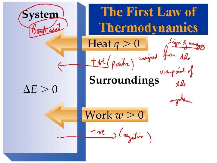 The First Law of Thermodynamics 