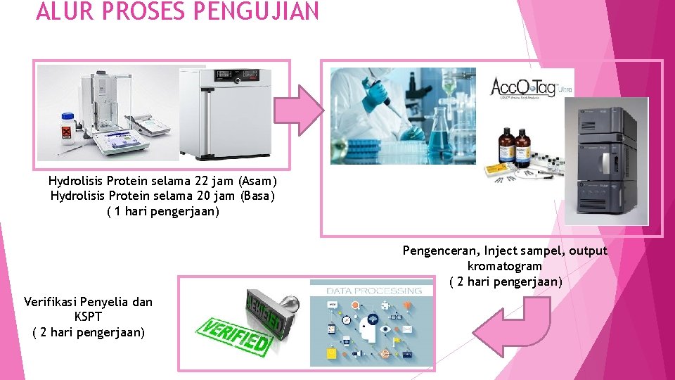 ALUR PROSES PENGUJIAN Hydrolisis Protein selama 22 jam (Asam) Hydrolisis Protein selama 20 jam