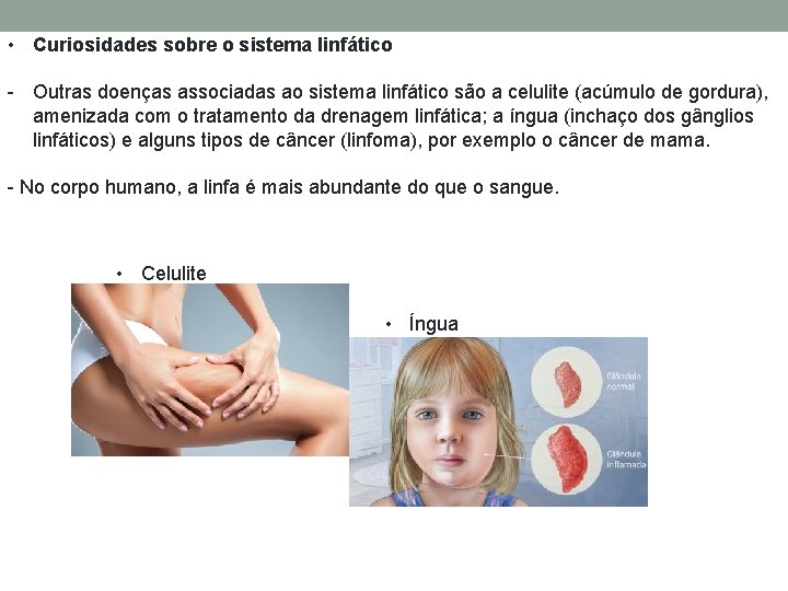  • Curiosidades sobre o sistema linfático - Outras doenças associadas ao sistema linfático