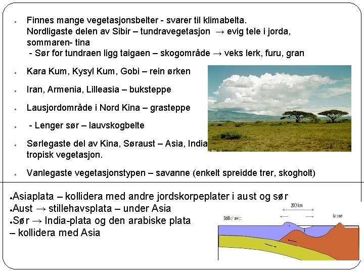 ● Finnes mange vegetasjonsbelter - svarer til klimabelta. Nordligaste delen av Sibir – tundravegetasjon