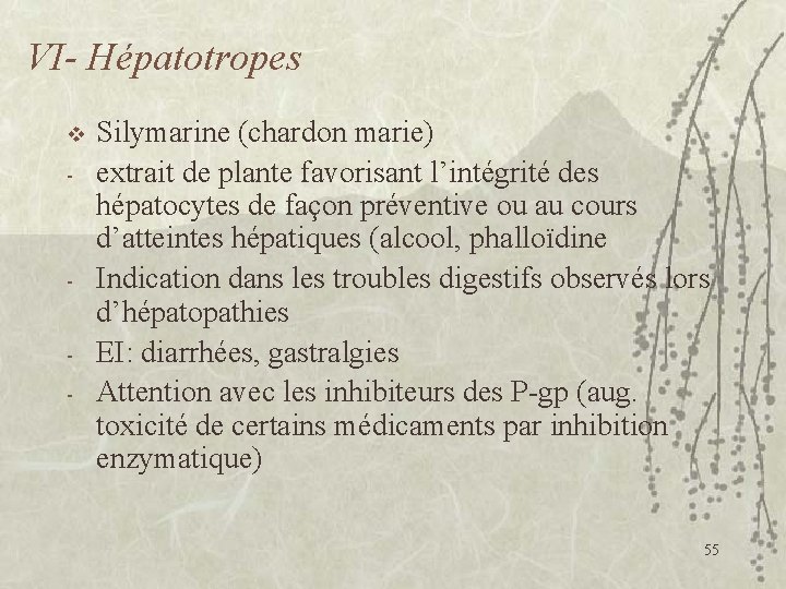 VI- Hépatotropes v - - Silymarine (chardon marie) extrait de plante favorisant l’intégrité des