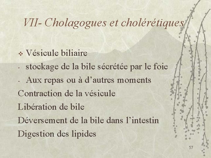 VII- Cholagogues et cholérétiques Vésicule biliaire - stockage de la bile sécrétée par le