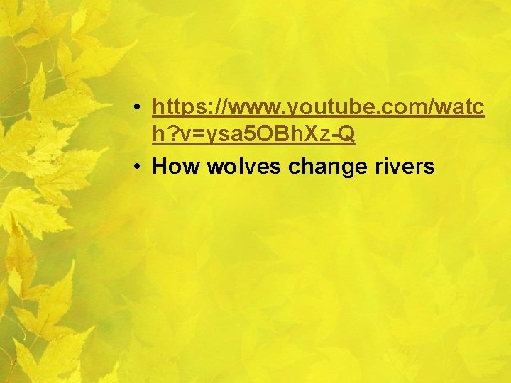  • https: //www. youtube. com/watc h? v=ysa 5 OBh. Xz-Q • How wolves