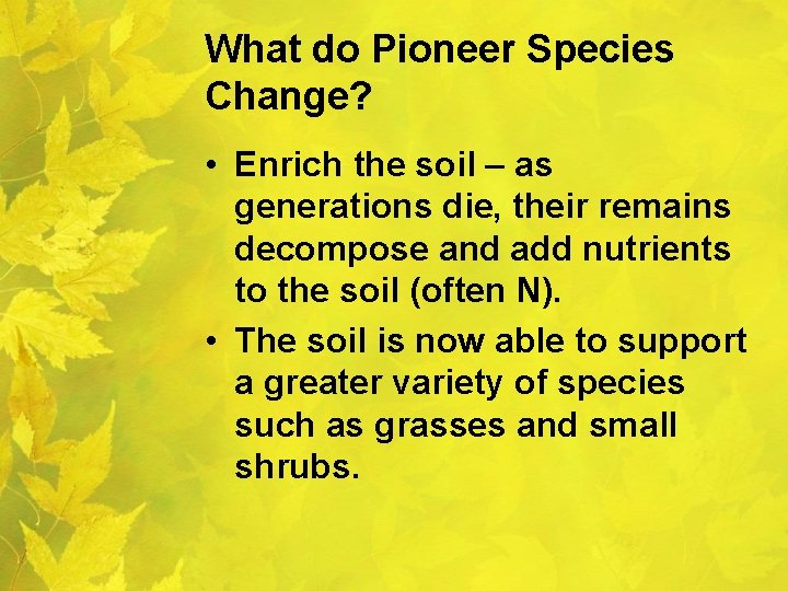 What do Pioneer Species Change? • Enrich the soil – as generations die, their