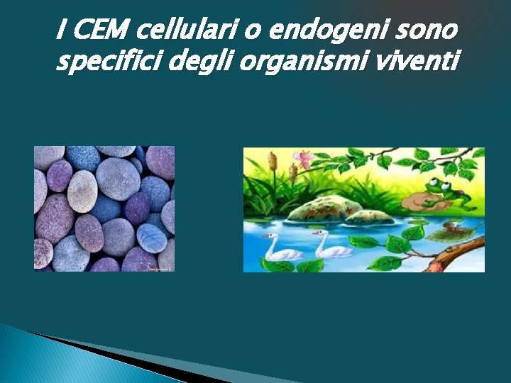 I CEM cellulari o endogeni sono specifici degli organismi viventi 