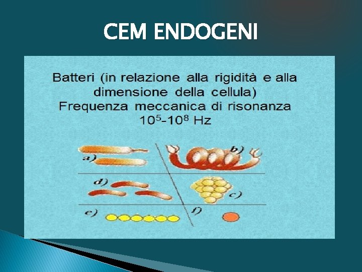 CEM ENDOGENI 