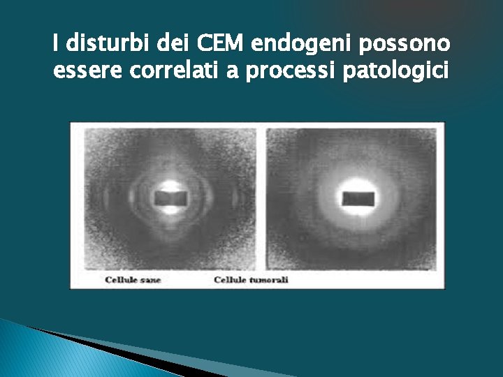 I disturbi dei CEM endogeni possono essere correlati a processi patologici 