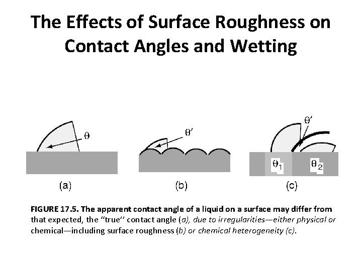 The Effects of Surface Roughness on Contact Angles and Wetting FIGURE 17. 5. The