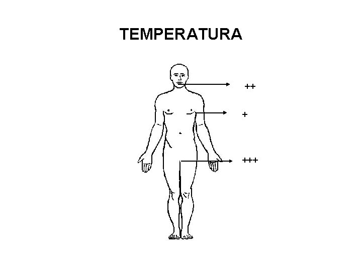 TEMPERATURA ++ + +++ 