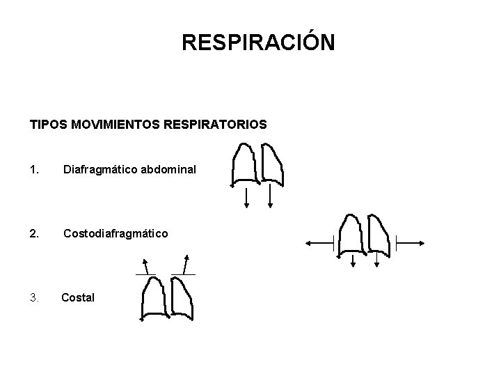 RESPIRACIÓN TIPOS MOVIMIENTOS RESPIRATORIOS 1. Diafragmático abdominal 2. Costodiafragmático 3. Costal 