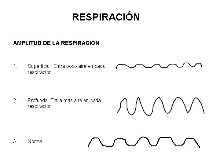 RESPIRACIÓN AMPLITUD DE LA RESPIRACIÓN 1. Superficial: Entra poco aire en cada respiración 2.