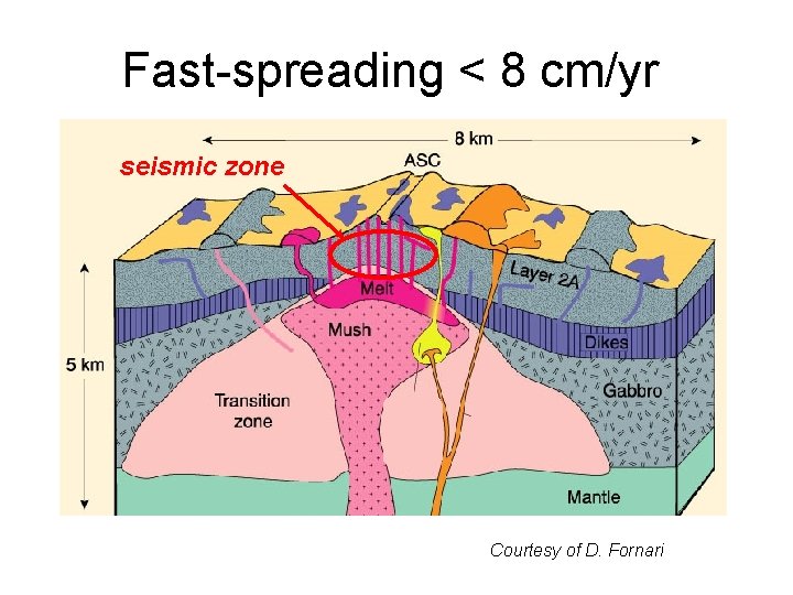 Fast-spreading < 8 cm/yr seismic zone Courtesy of D. Fornari Fast-spreading < 8 cm/yr seismic zone Courtesy of D. Fornari