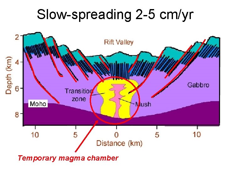 Slow-spreading 2 -5 cm/yr Temporary magma chamber Slow-spreading 2 -5 cm/yr Temporary magma chamber
