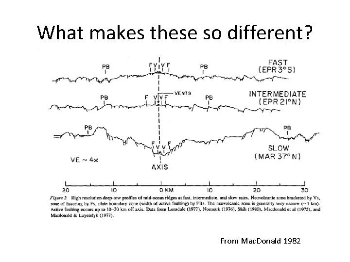 What makes these so different? From Mac. Donald 1982 What makes these so different? From Mac. Donald 1982