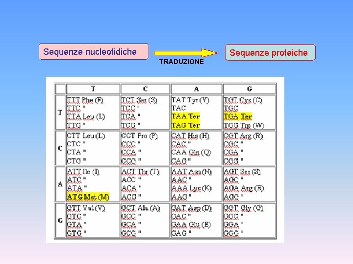 Sequenze nucleotidiche Sequenze proteiche TRADUZIONE 