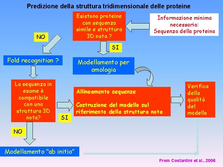 Predizione della struttura tridimensionale delle proteine Esistono proteine con sequenza simile e struttura 3