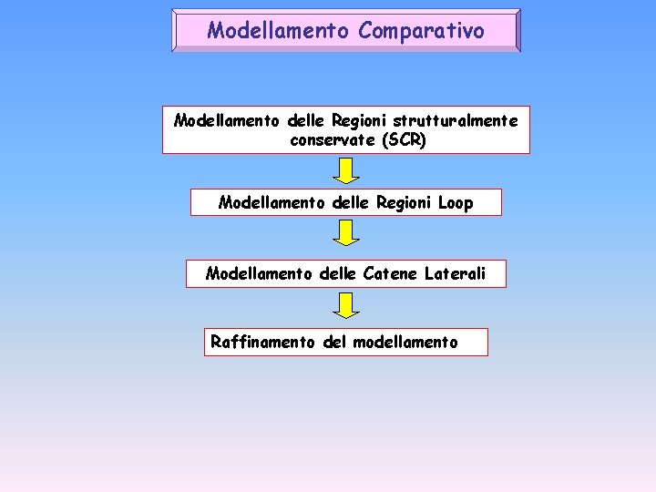 Modellamento Comparativo Modellamento delle Regioni strutturalmente conservate (SCR) Modellamento delle Regioni Loop Modellamento delle