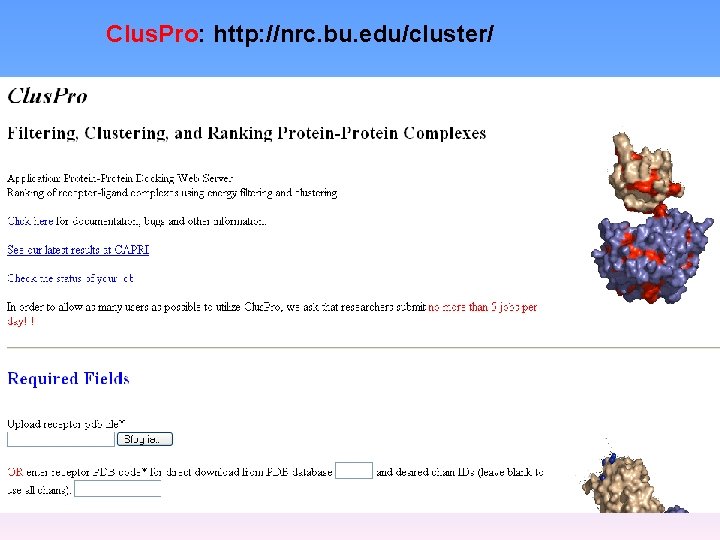 Clus. Pro: http: //nrc. bu. edu/cluster/ 