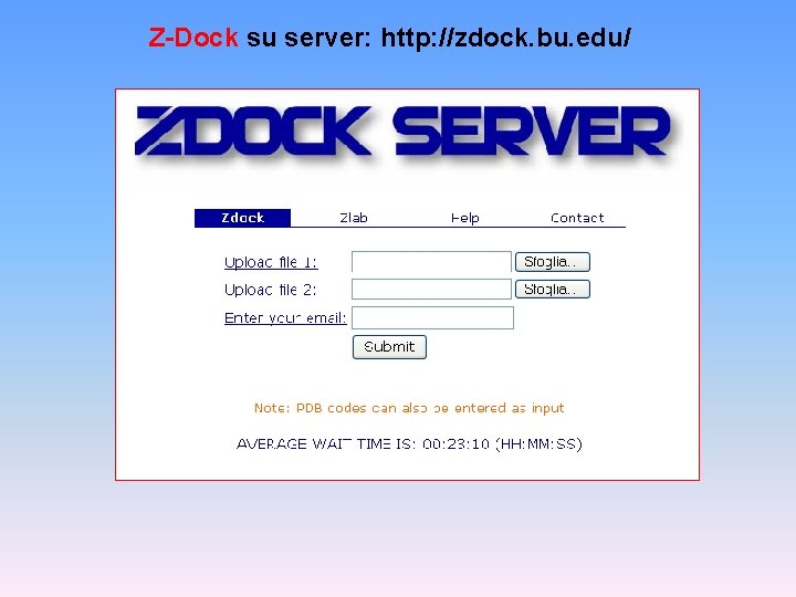 Z-Dock su server: http: //zdock. bu. edu/ 