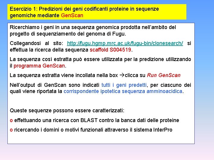 Esercizio 1: Predizioni dei geni codificanti proteine in sequenze genomiche mediante Gen. Scan Ricerchiamo