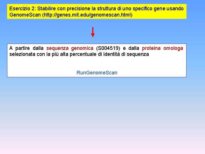 Esercizio 2: Stabilire con precisione la struttura di uno specifico gene usando Genome. Scan